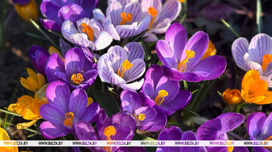 Фото из архива