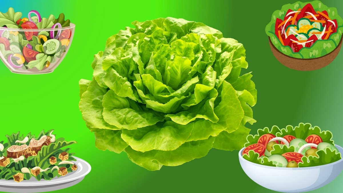 Авторский блог https://dzen.ru/annachuprina ЗЕЛЕНЫЙ САЛАТ 💚🥬ИДЕИ /"ХОЧУ РЕЦЕПТ"