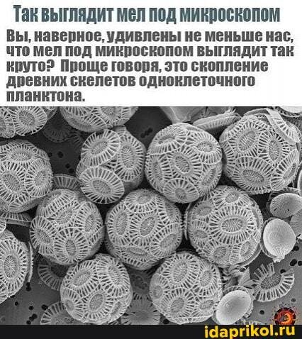 Что делать, если человек ест мелНепреодолимое желание есть мел — тревожный симптом, который требует обязательной консультации с врачом-терапевтом. На приёме доктор проведёт осмотр, назначит анализы крови на витамины и минералы, чтобы выявить их возможный дефицит, а также при необходимости направит человека к психотерапевту, чтобы оценить его психологическое состояние.Если желание есть мел возникло впервые, можно попробовать скорректировать рацион и включить в него продукты — источники железа, кальция и цинка. Если дело в дефиците этих микроэлементов, вероятнее всего, при изменении рациона, желание есть мел пропадёт.