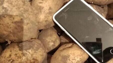     Источник: https://shubina.info