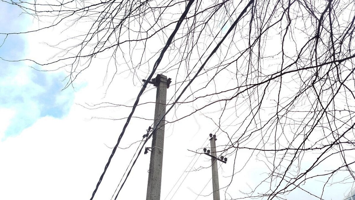    Фото: телеканал «Краснодар»