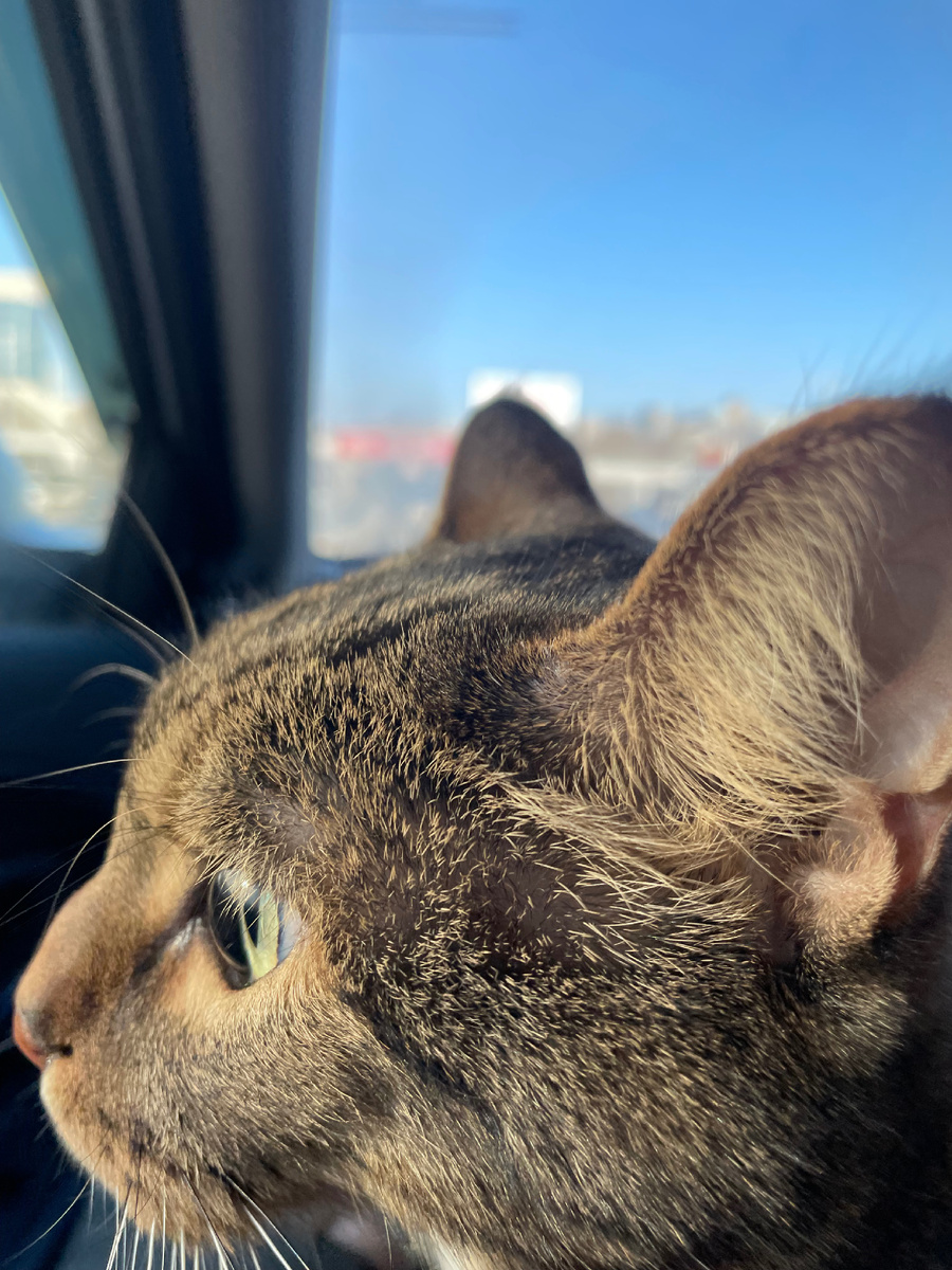 «Лучше бы я этого не видел»