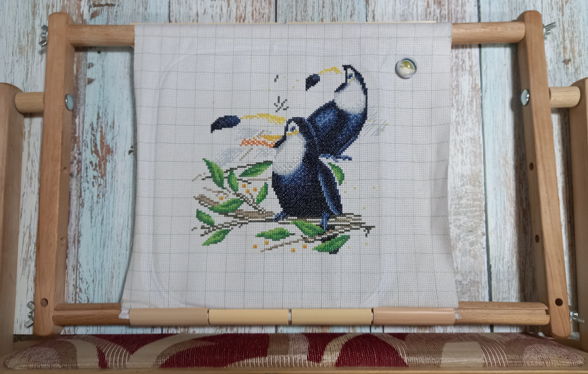 Процесс вышивания Туканы от Панна