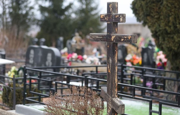    Алексей Белкин/NEWS.ru