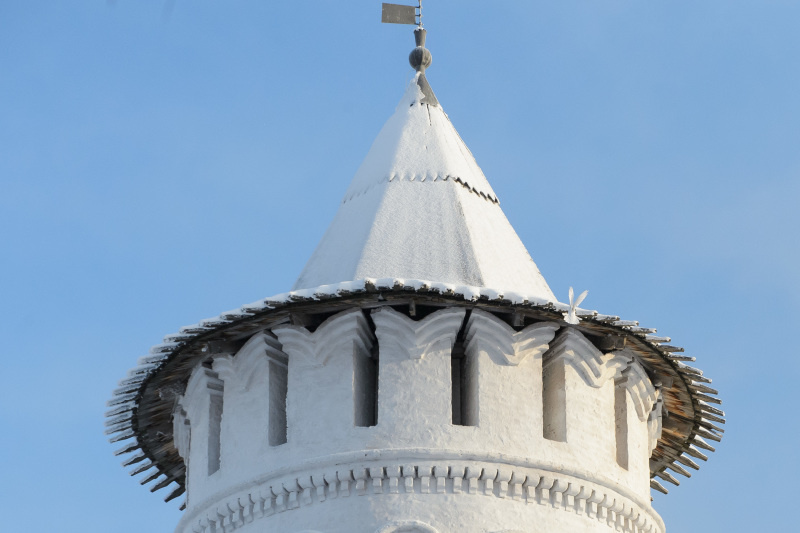    Фото: Dmitry Chasovitin/Global Look Press/Global Look Press