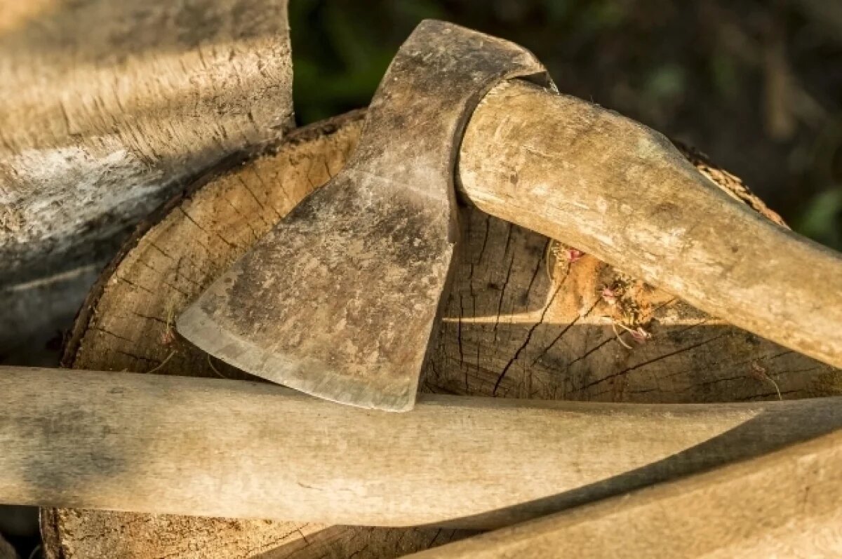    В Бугурусланском районе мужчина незаконно пилил дуб и пришиб им товарища