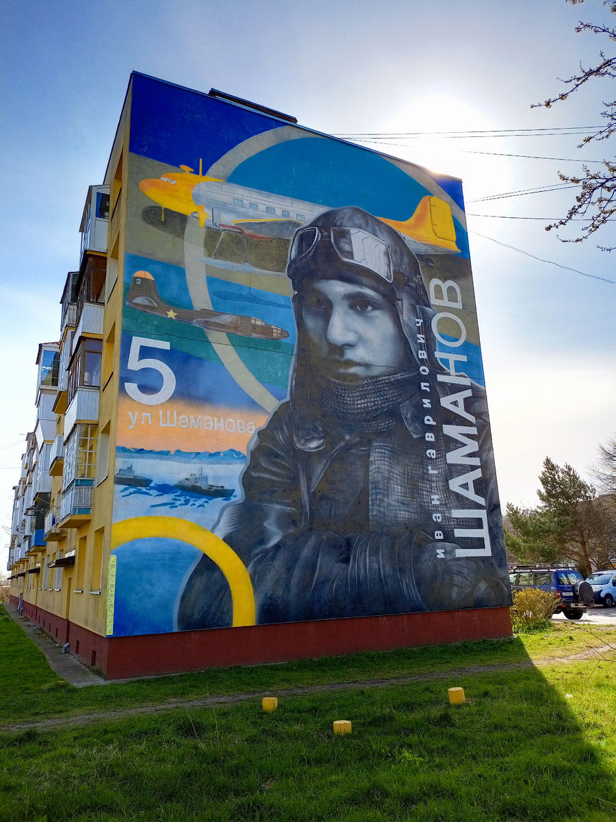 Мурал ул. Шаманова д. 5