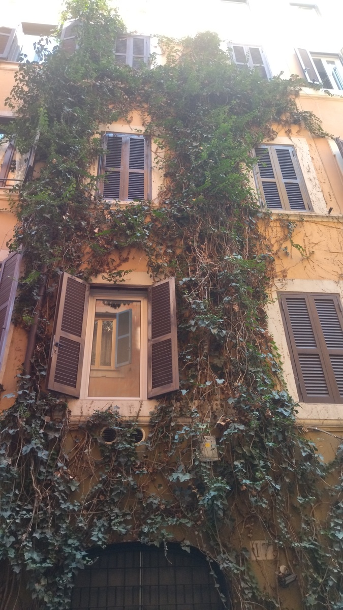 Рим, фото автора 