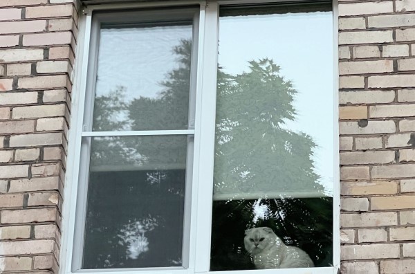 Фото: Наталья Селиверстова/РИА Новости
