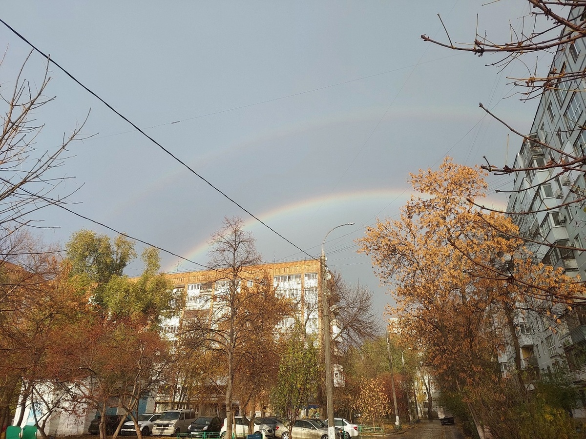    Фото: архив progorod