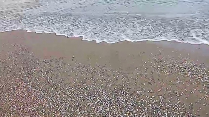    оперативный штаб Краснодарского края