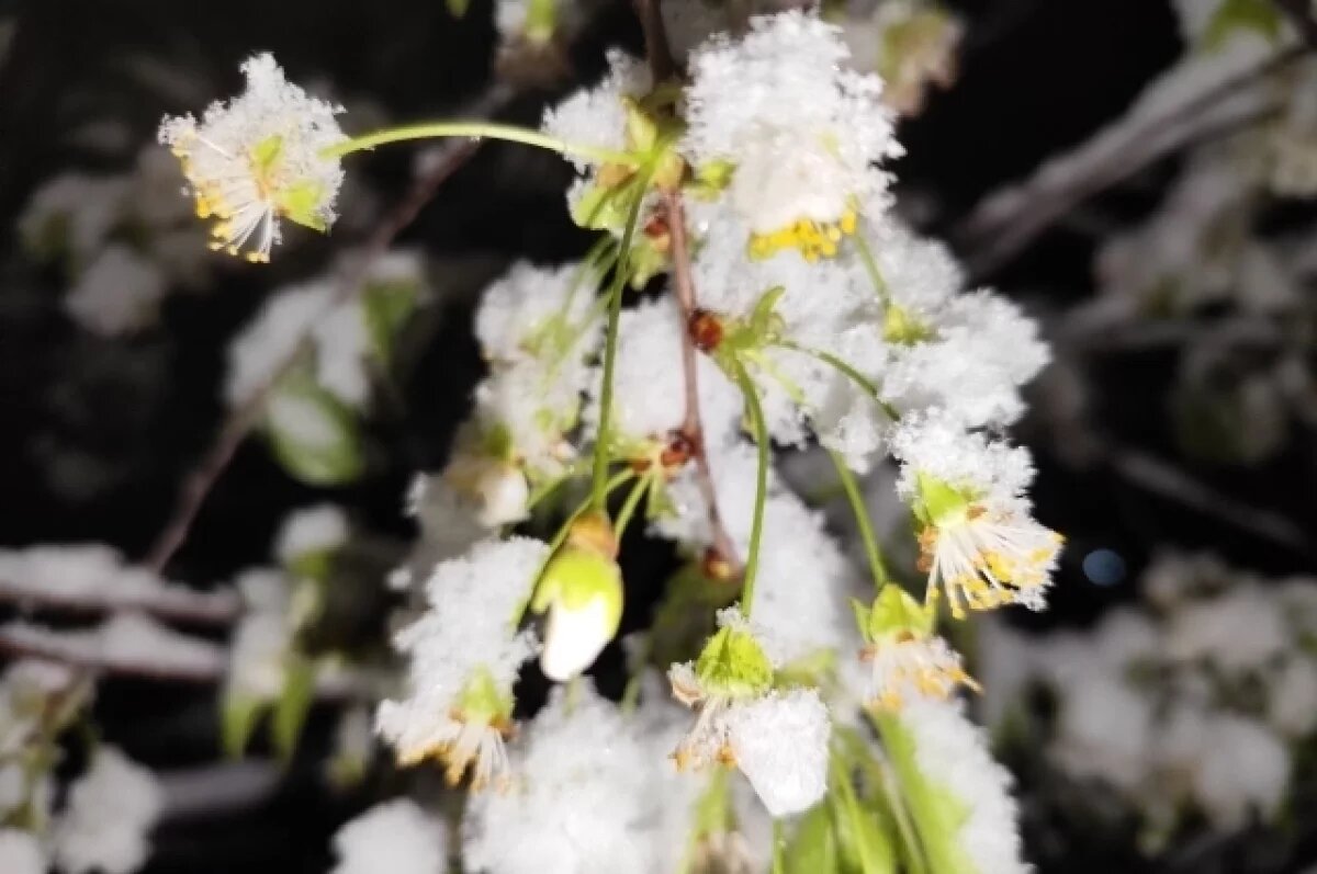    Апрель подкрался незаметно.