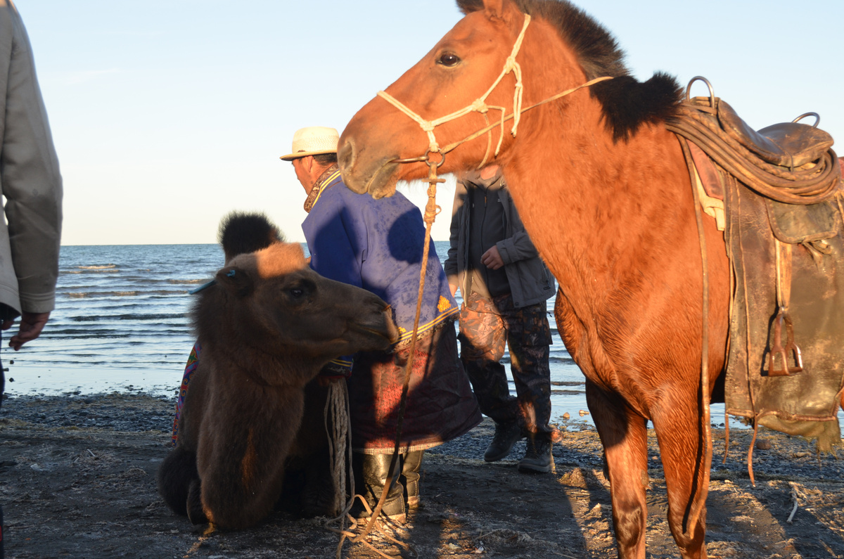 Озеро Увс. Монголы устраивают праздник по любому поводу и это всегда ярко.