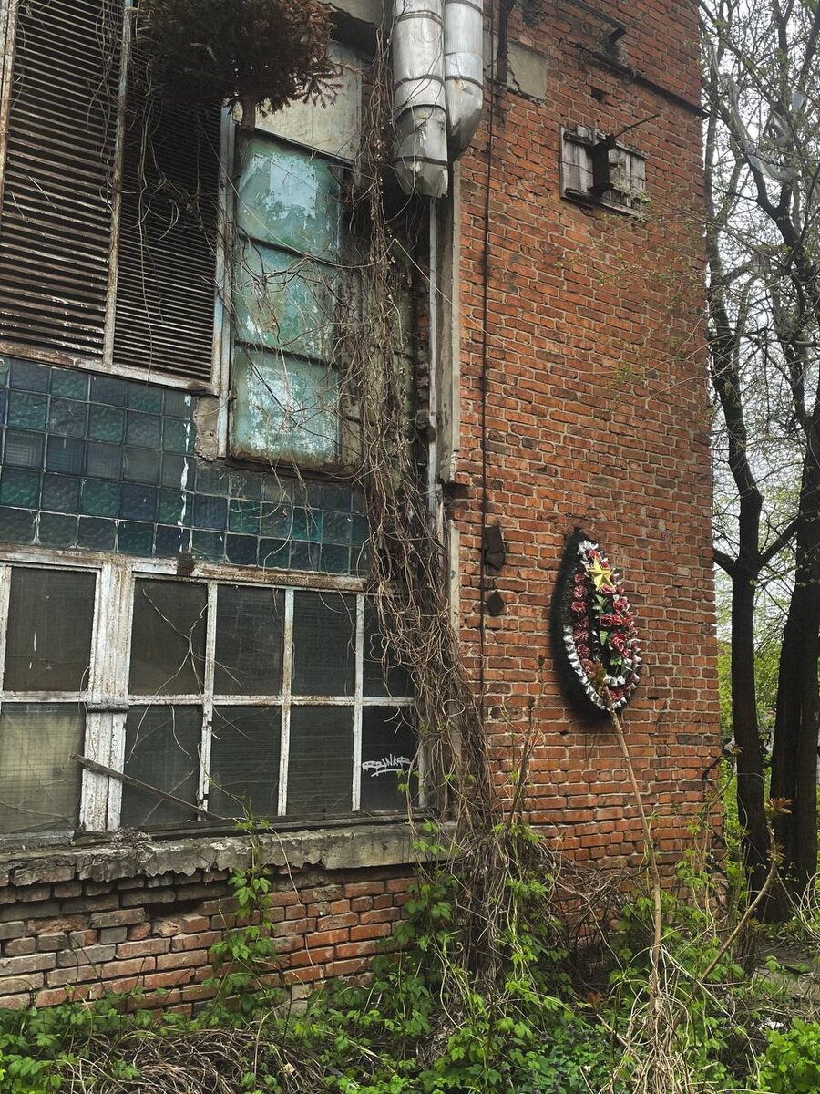 Фото: Эльвира Мясищева