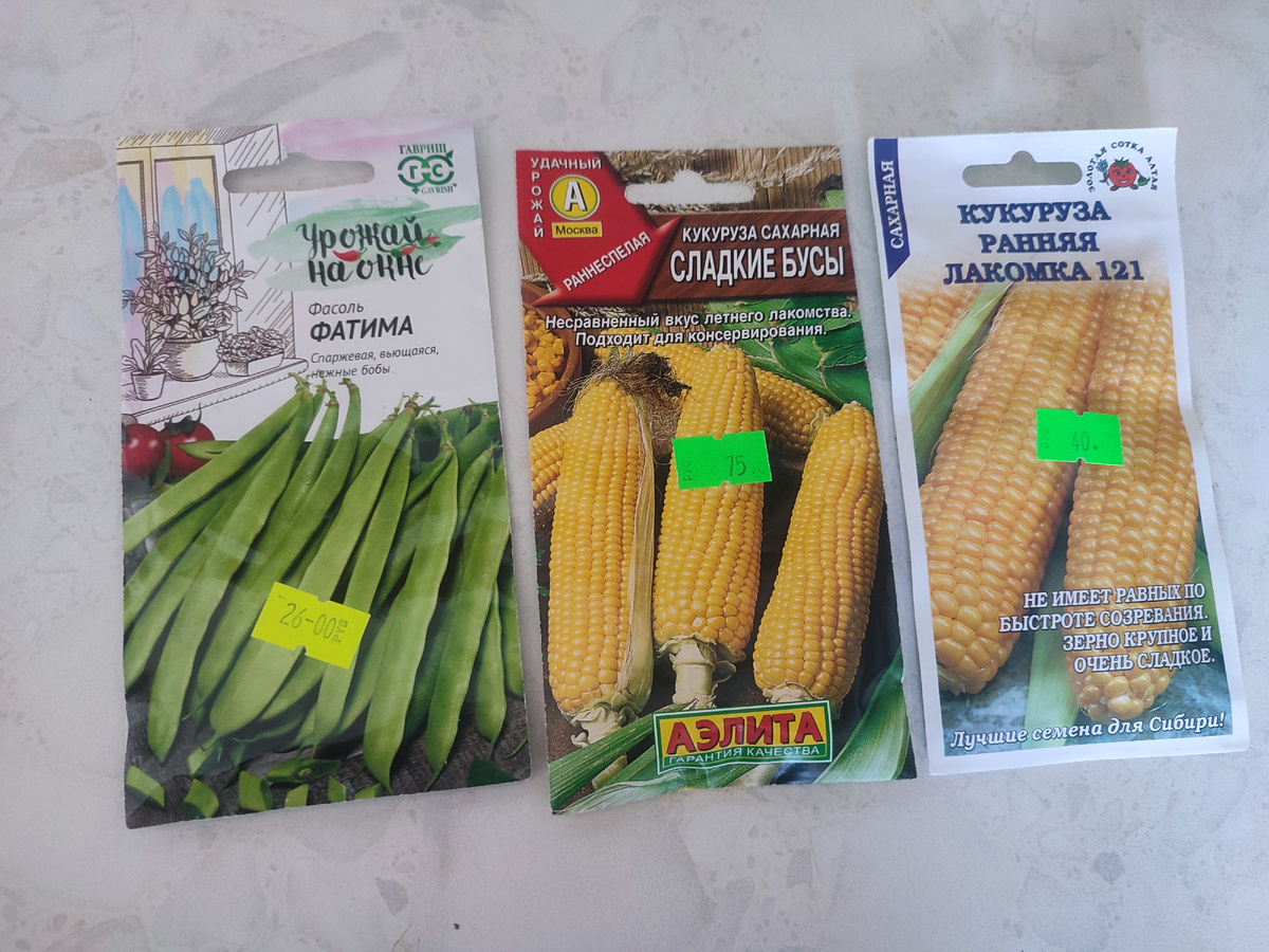 Беру ранние сорта