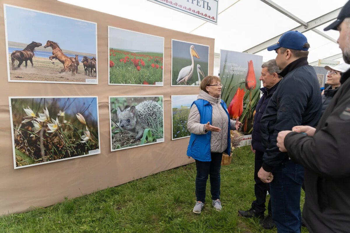     ©Ростовское областное отделение Русского географического общества. Елена Чумак