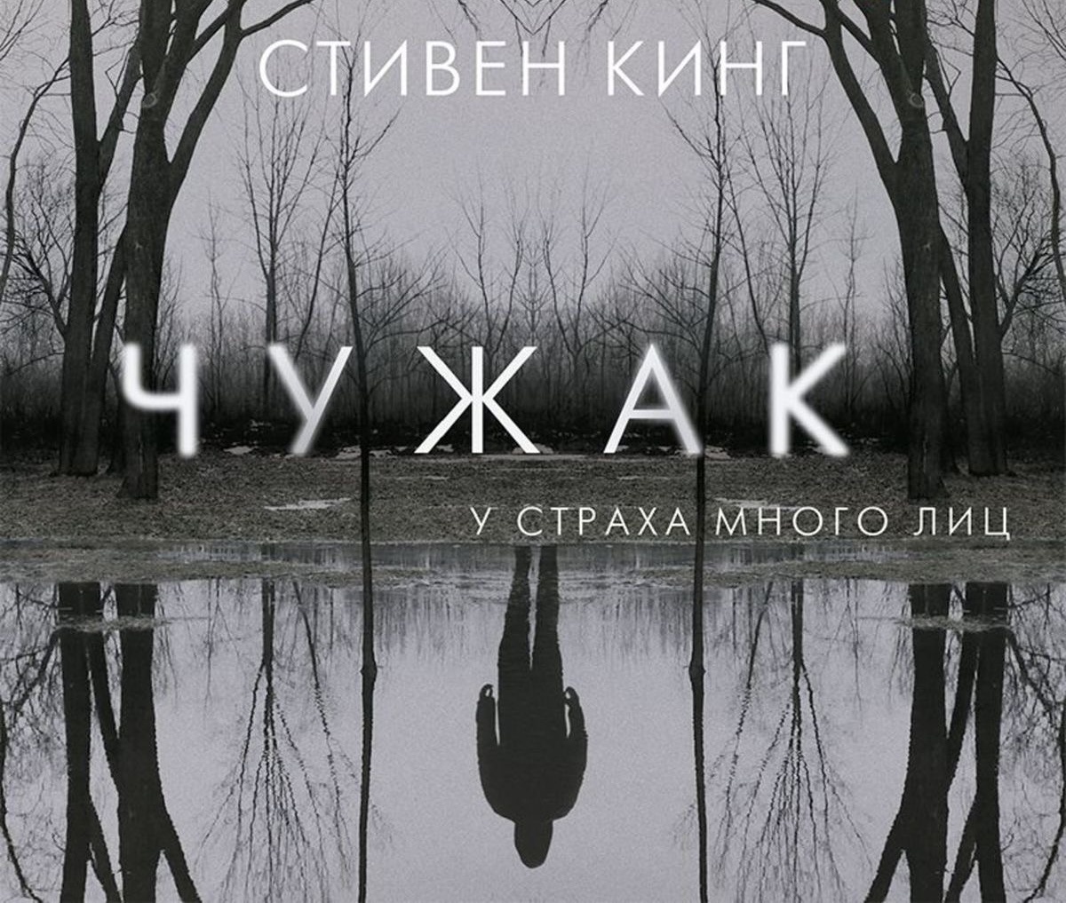 «Чужак»
Стивен Кинг