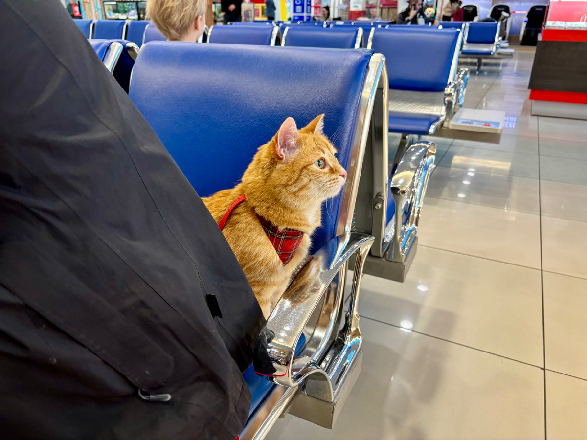 Омский аэропорт