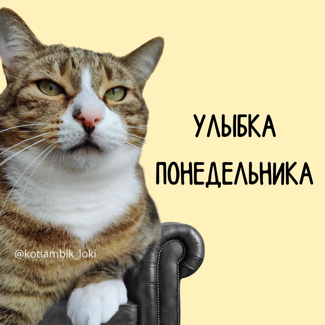 Разве понедельник может радовать?