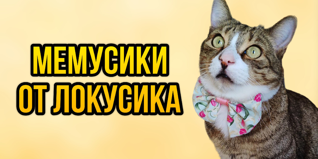 Мемусики от Локусика🐱