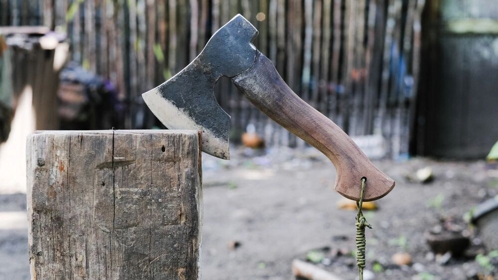    Фото: Dasrian/Shutterstock/Fotodom