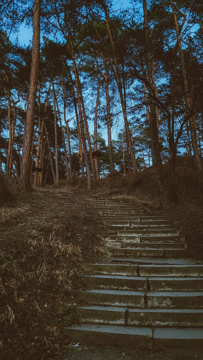 Кисловодский парк