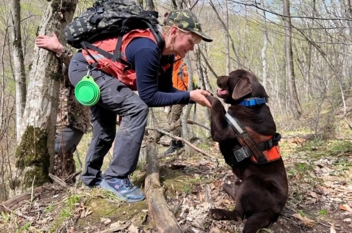    Пропасть не дадим!
