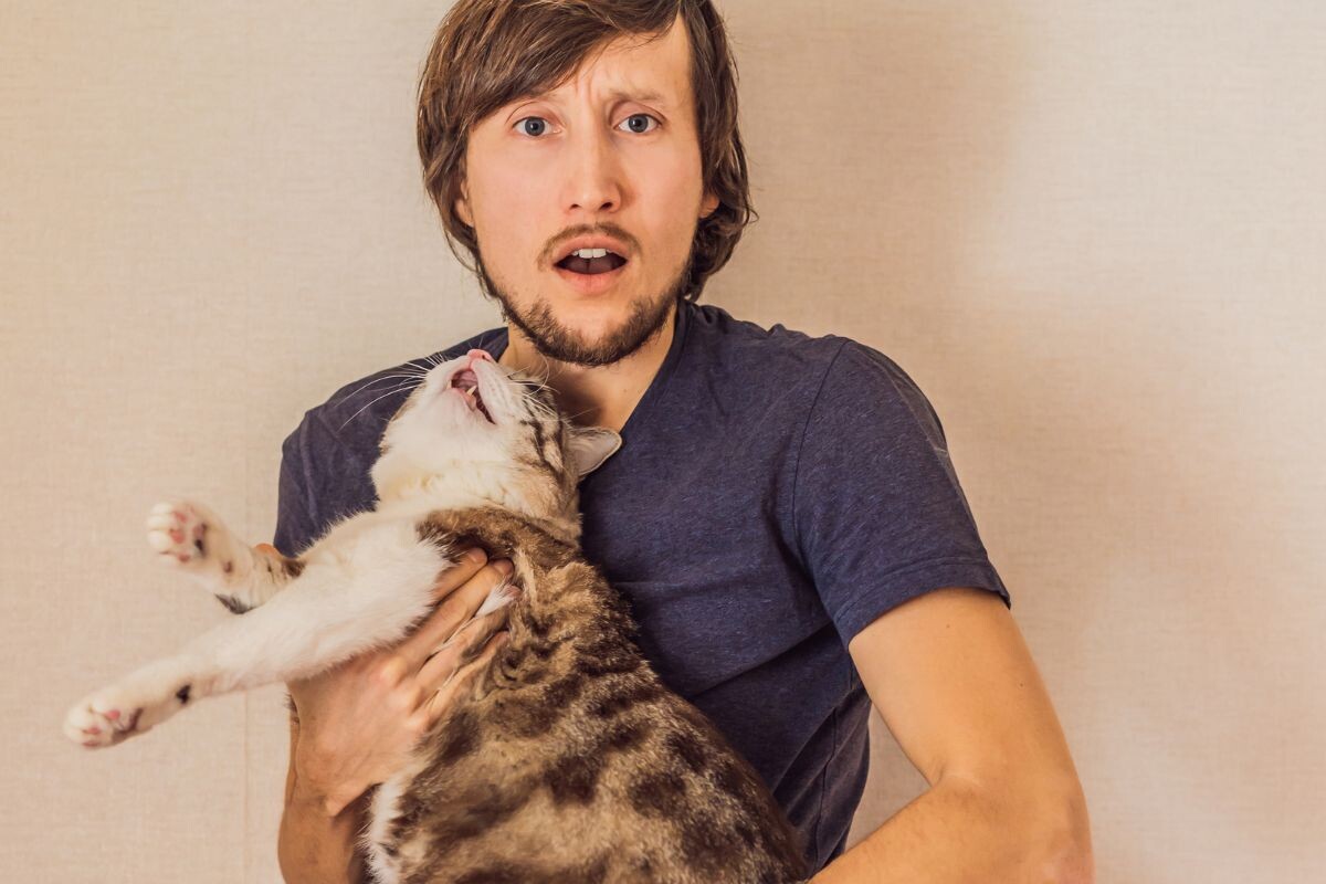 Взволнованный хозяин с котом 