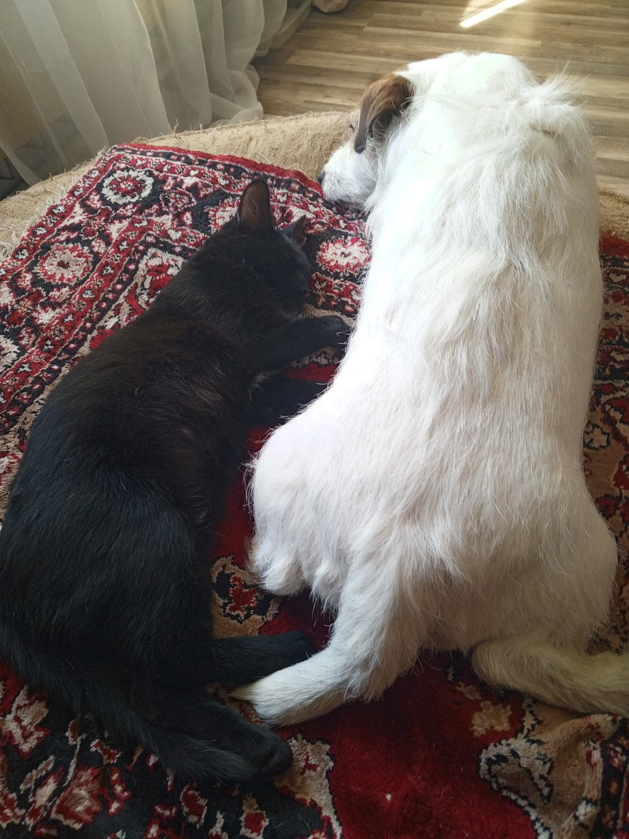 "Героиня" прошлой статьи