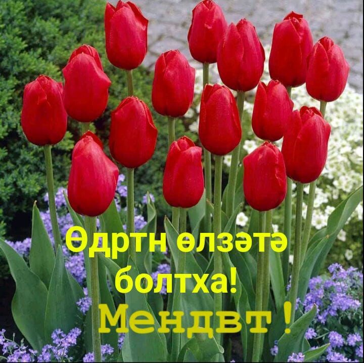 Хорошего вам дня, дорогие🙏