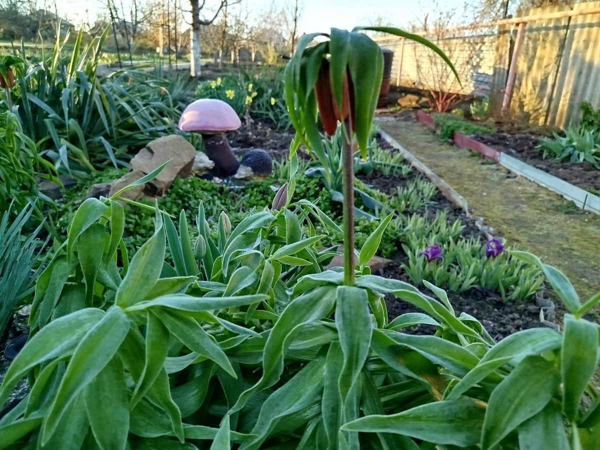 Фото автора " Жизнь в селе " .