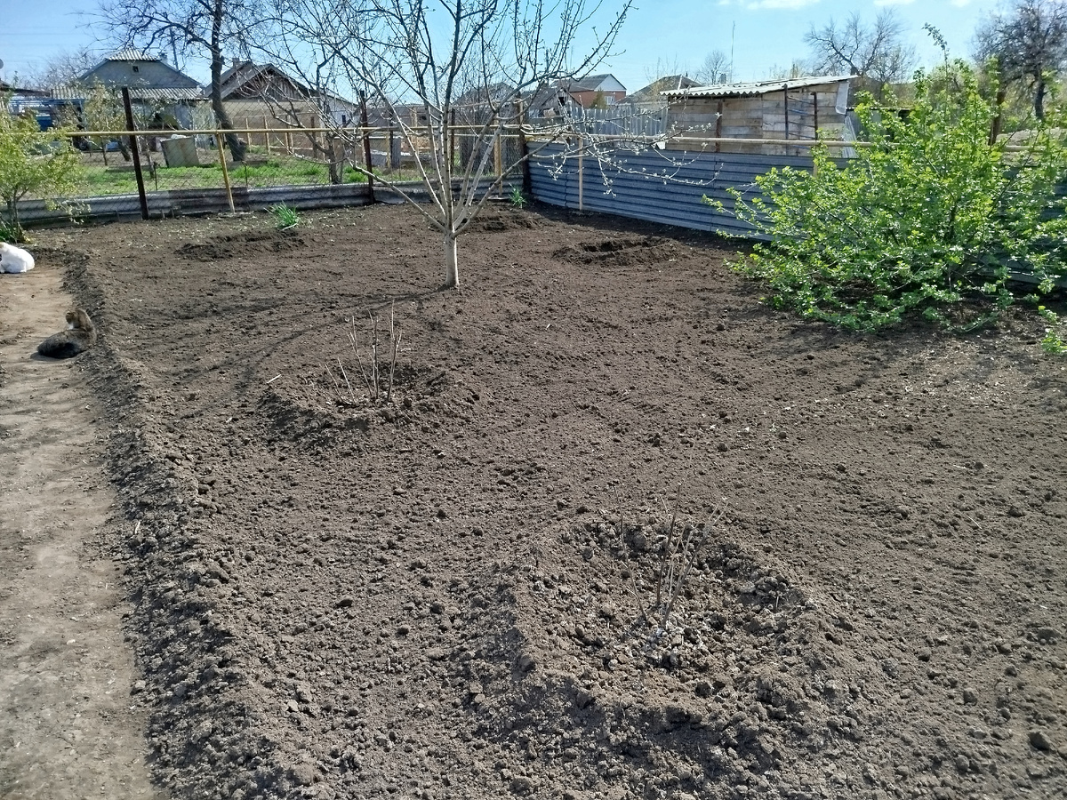 Фото автора " Жизнь в селе " .