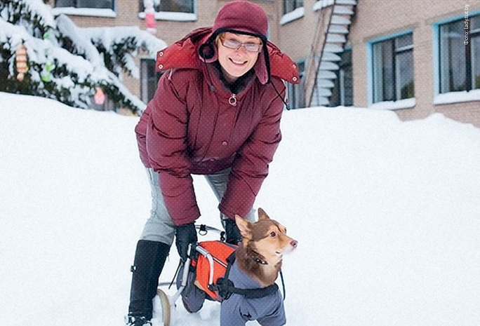 Женщина подарила вторую жизнь умирающей собаке, вопреки мнению докторов
