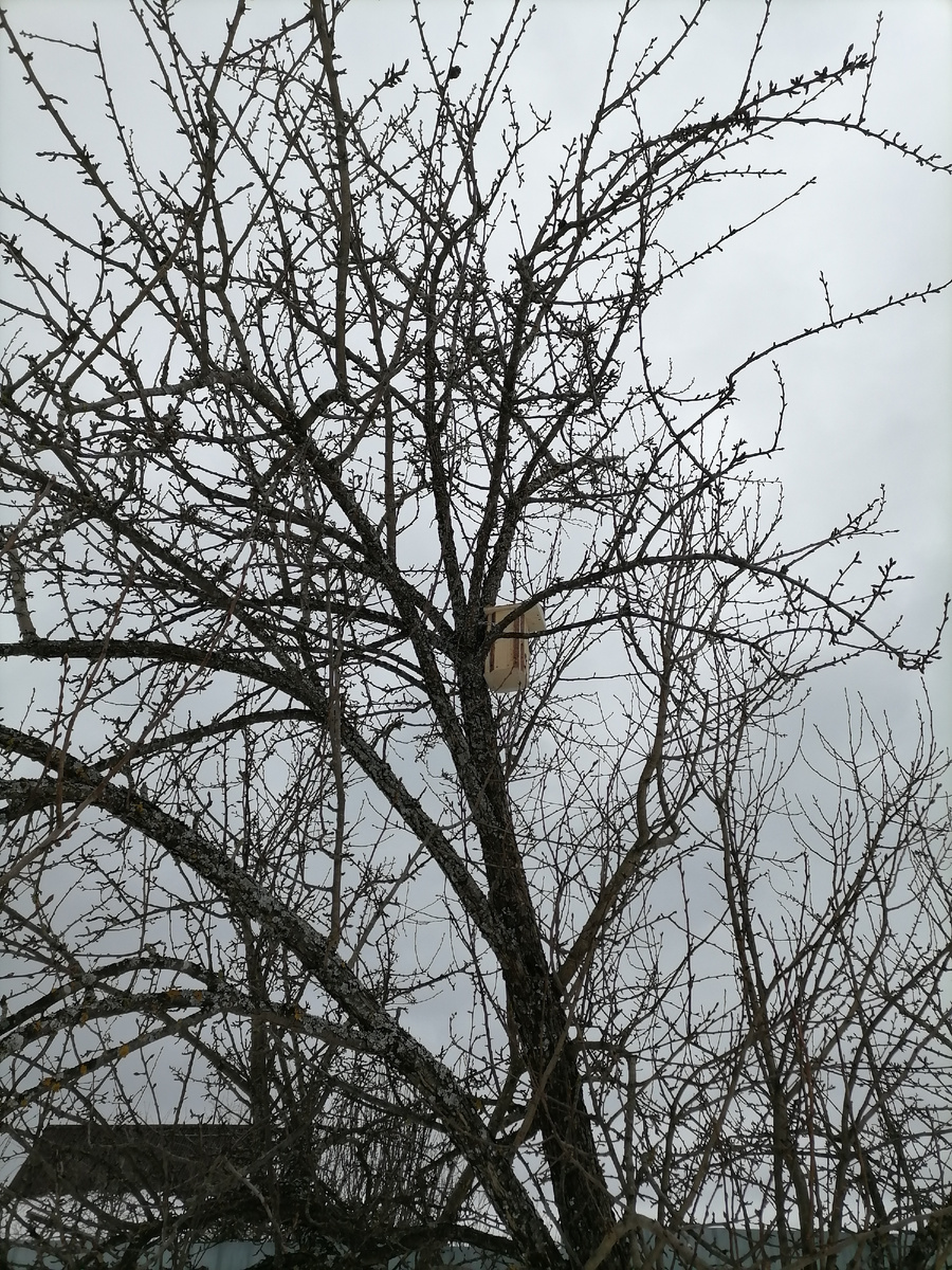 скворечник-синичник_2