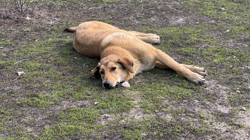    Alexander Legky/Global Look Press