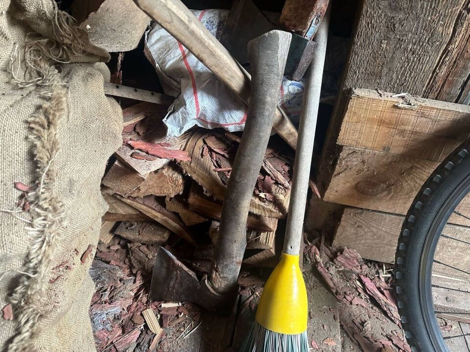    Мать могла расправиться над детьми в Красноярске. Источник: СУ СКР по Красноярскому краю