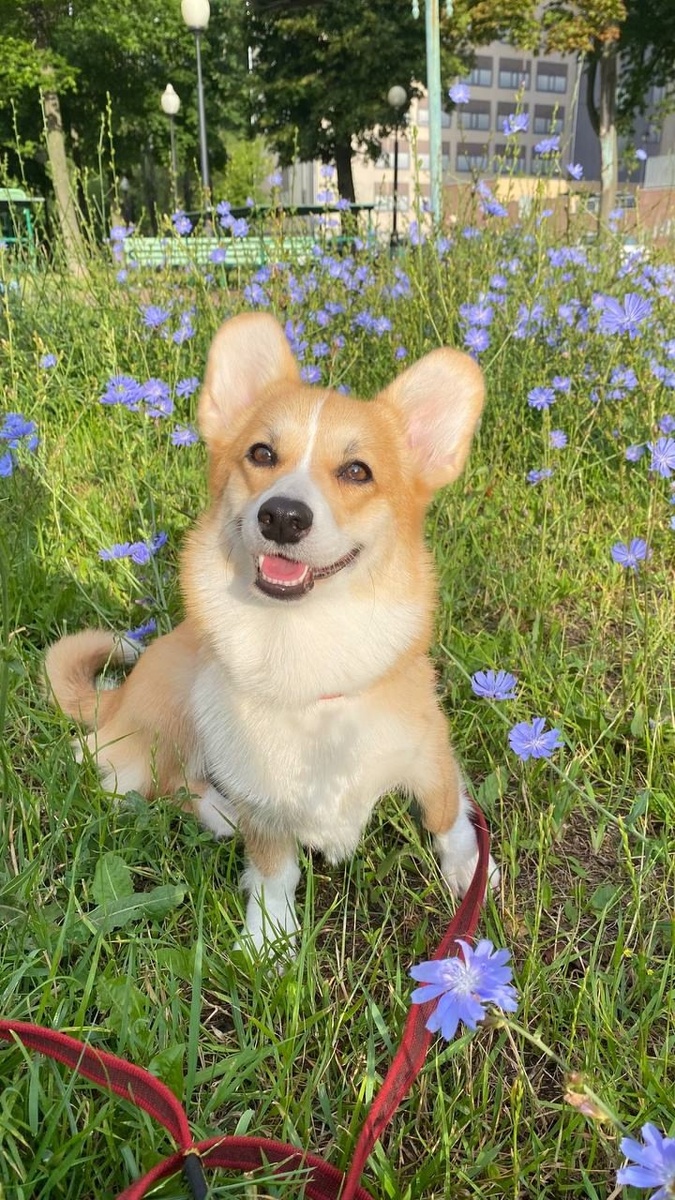 Можно листать ------->