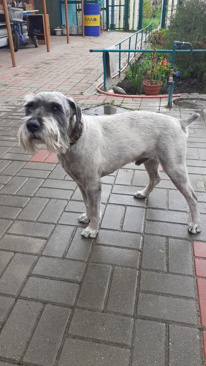 Можно листать ------->