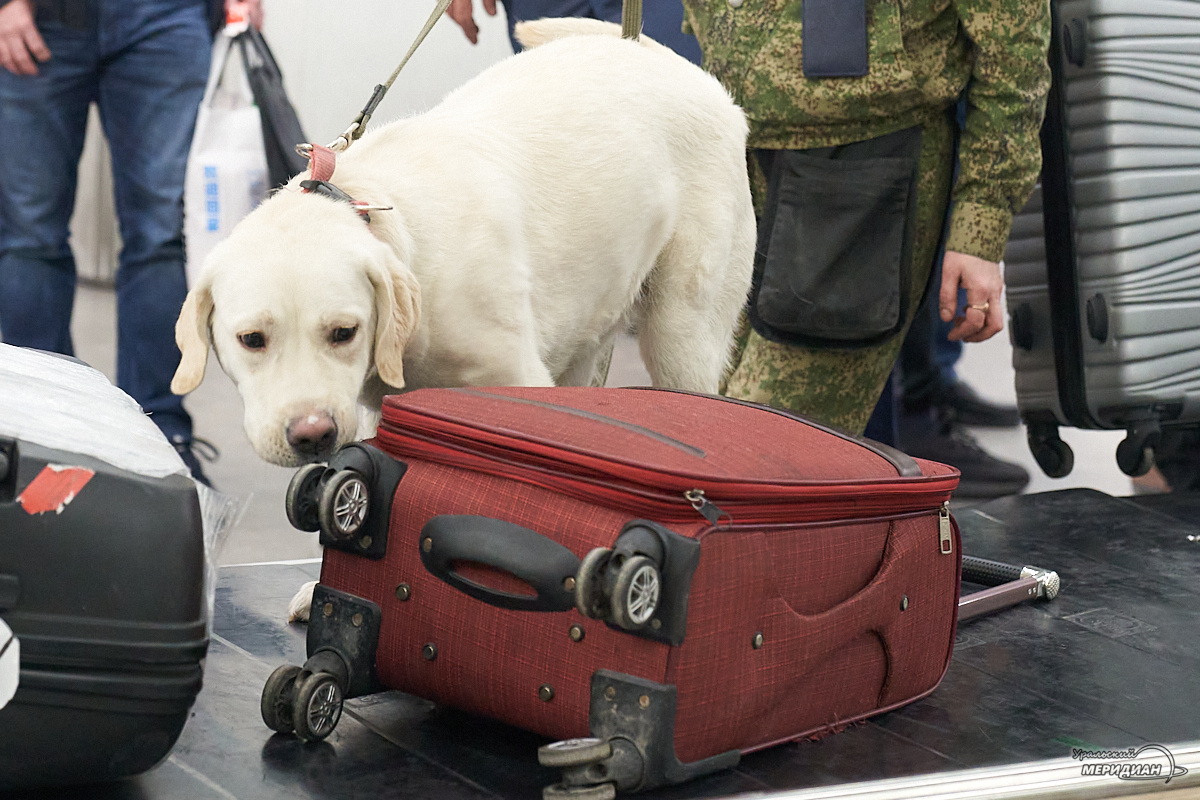    Фото: Лидия Аникина © ИА «Уральский меридиан»