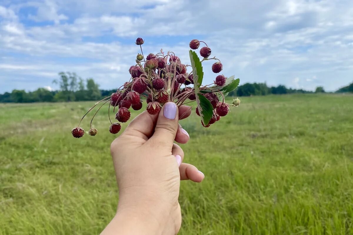 Фото: UfacityNews.ru