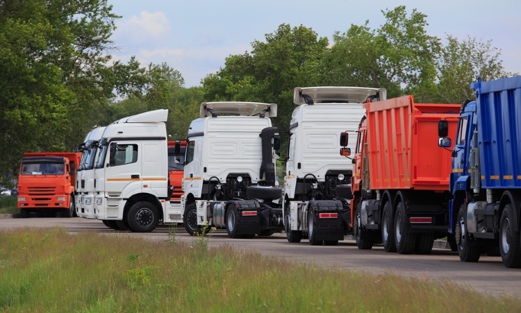 Фото: © Юрий Бизгаймер / Фотобанк Лори