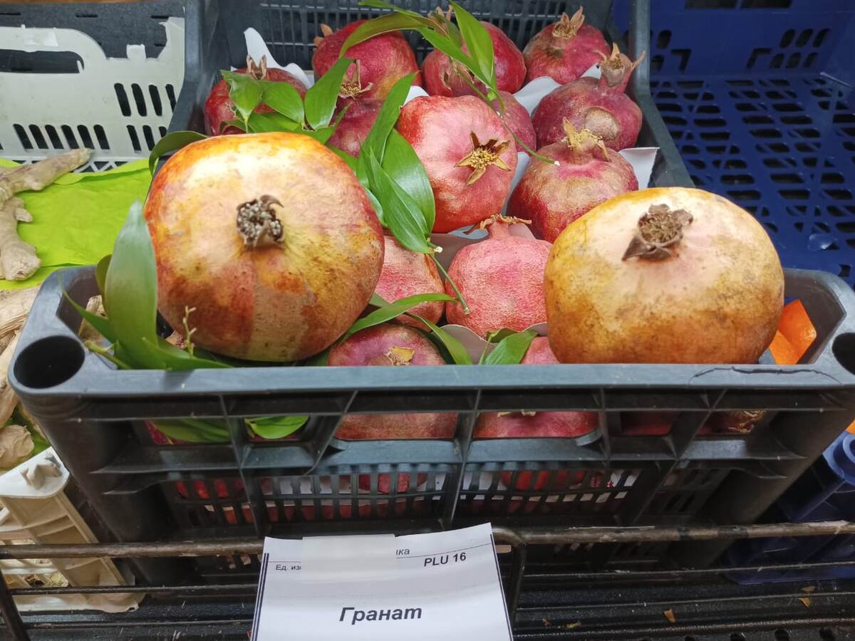 Так и увидела веточки. Фото автора