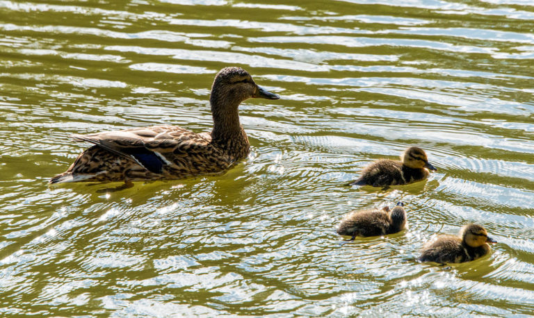    Фото: mos.ru Екатерина Шахнина
