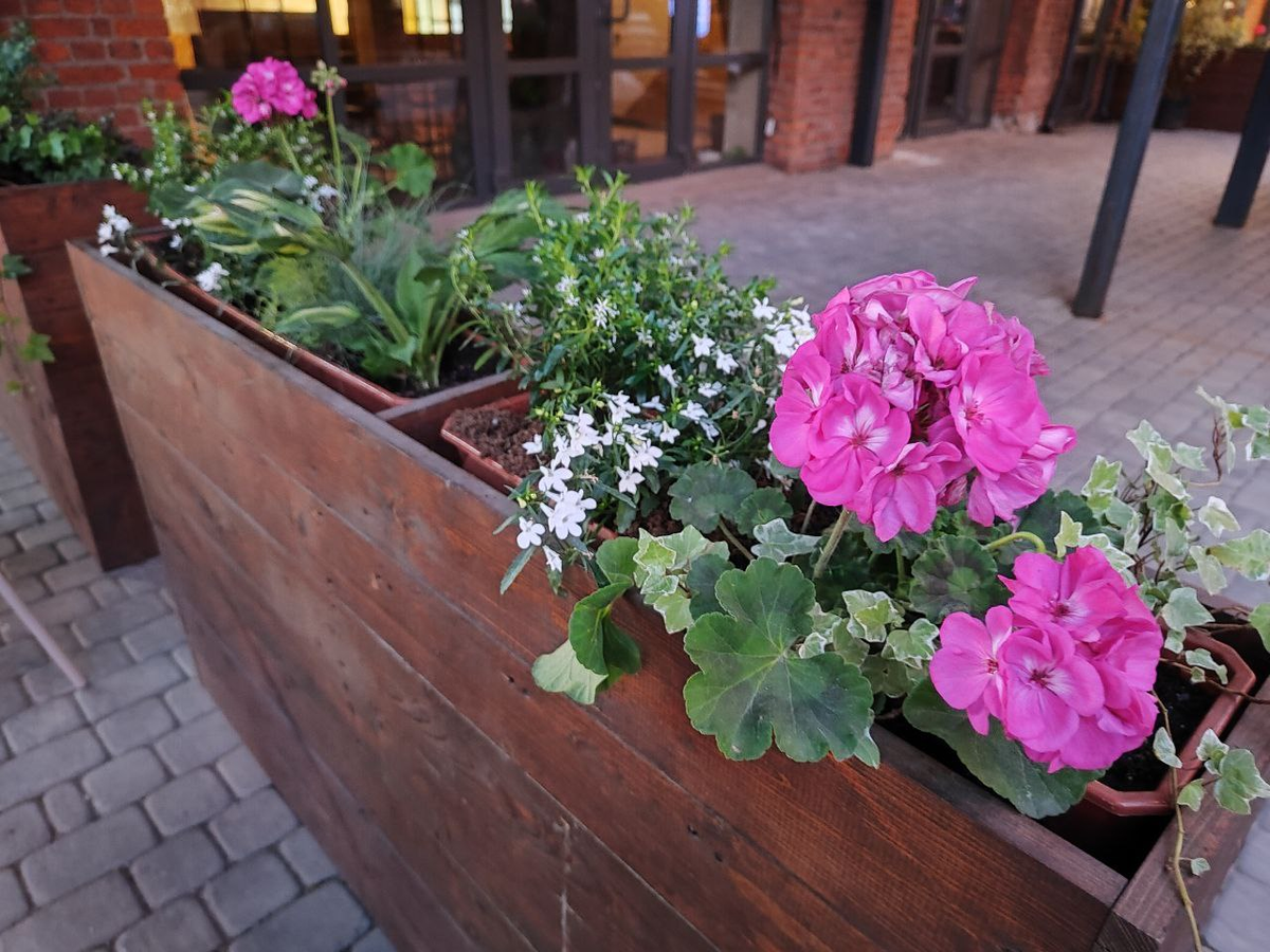 Фото автора.