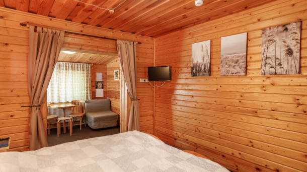 Рисунок 2. Номер-студия с двуспальной кроватью