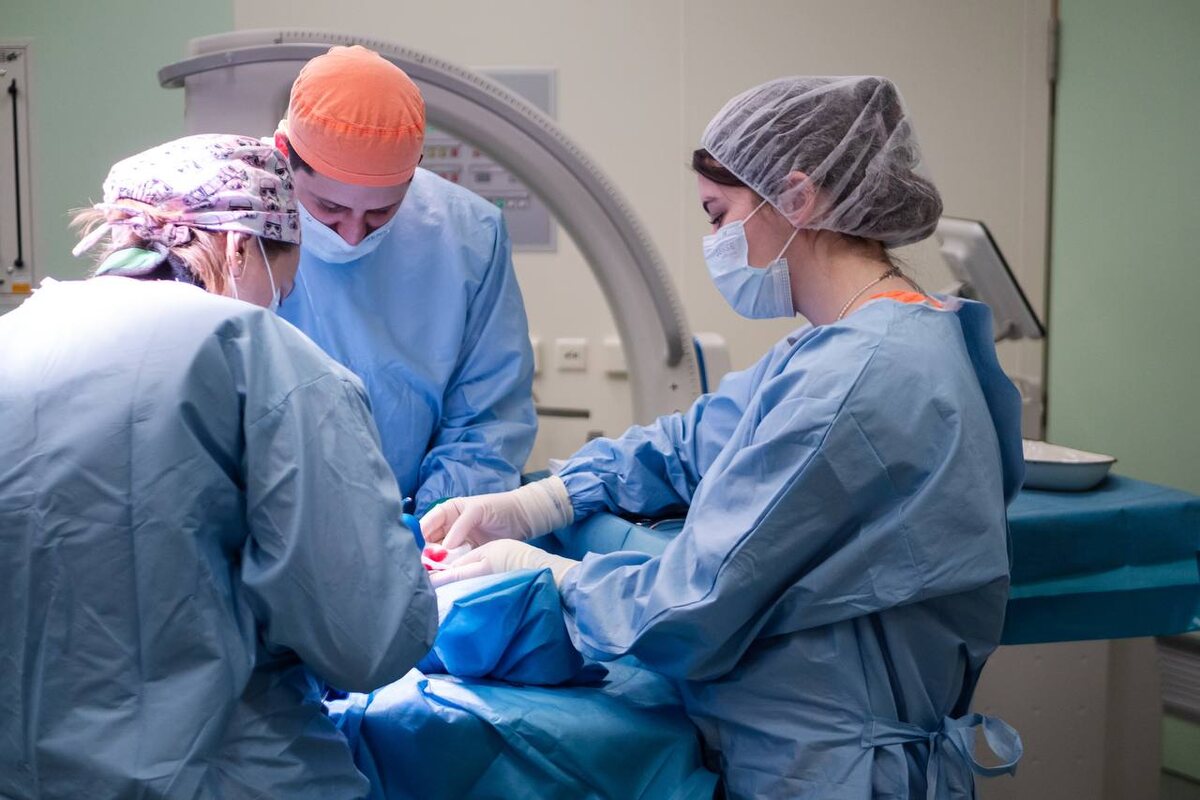 Фото: пресс-служба администрации РДКБ  📷
