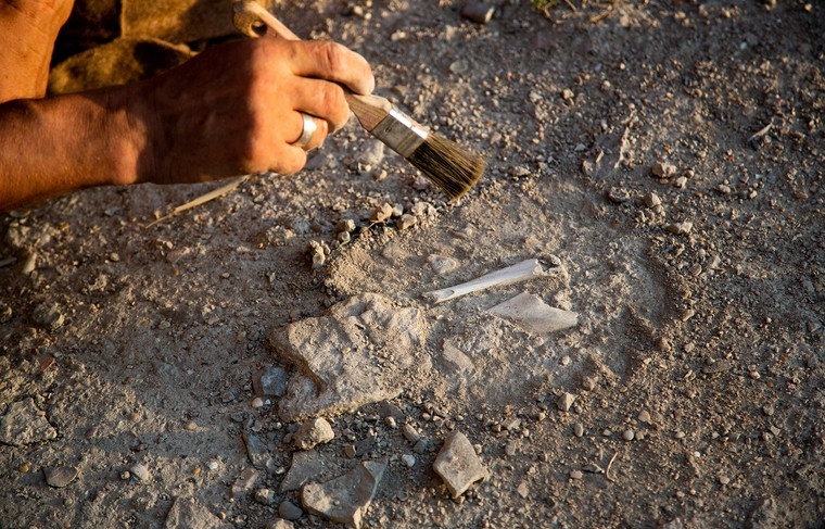    Shutterstock/FOTODOM