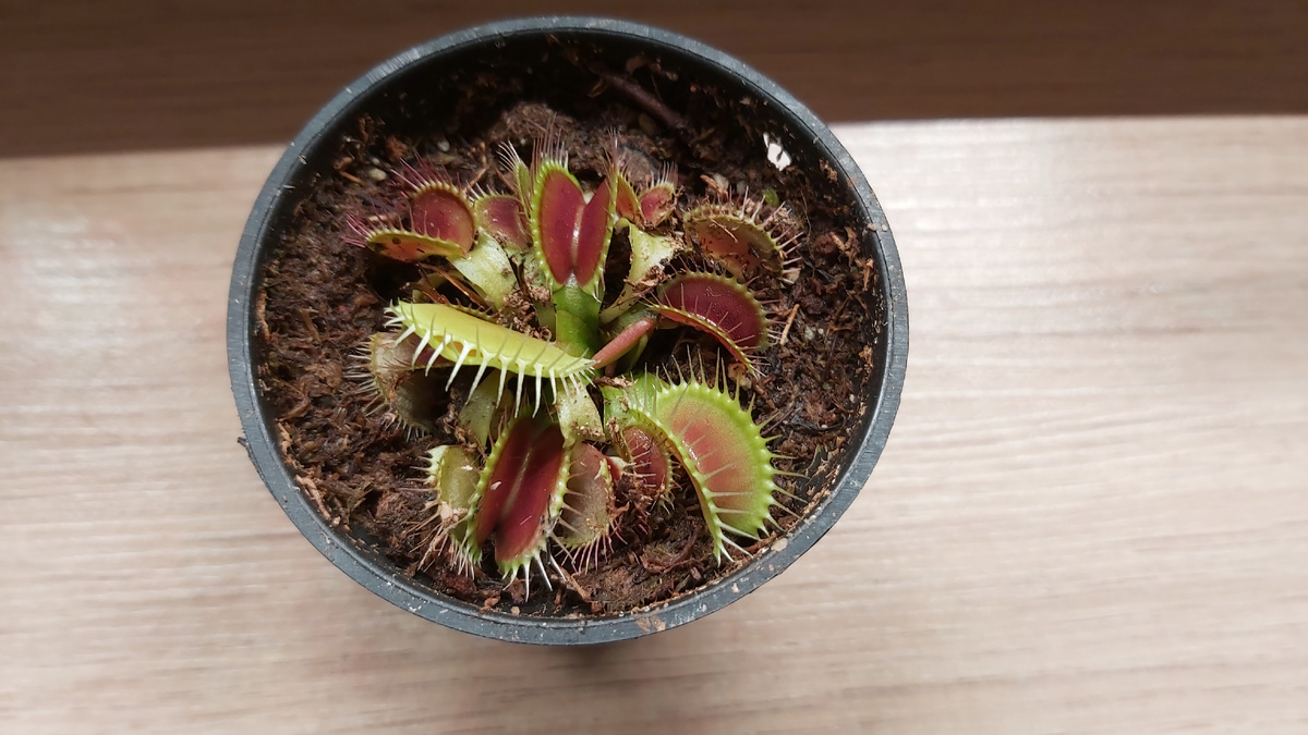 Моя малышка.