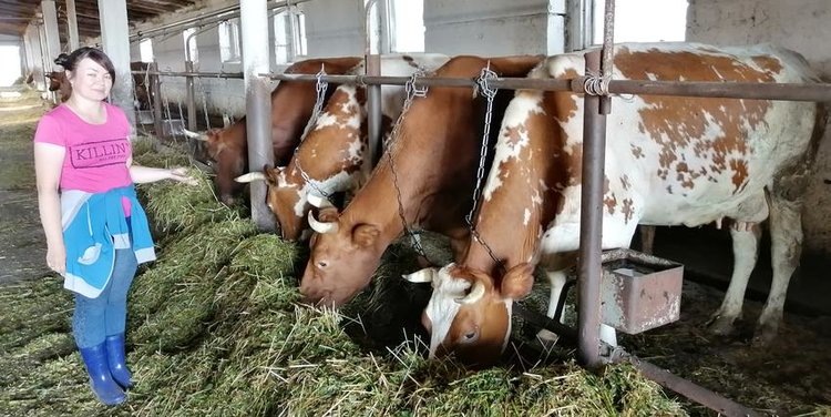    Уральские ученые определили полиморфизмы генов с устойчивостью к заболеваниям у 5 пород крупного рогатого скота