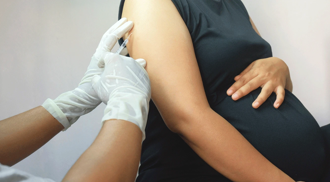 Image: Adi purnatama | Shutterstock